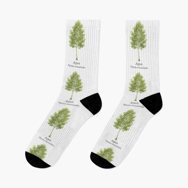 Item preview, Aspen – Populus tremuloides designed and sold by BloomKind.