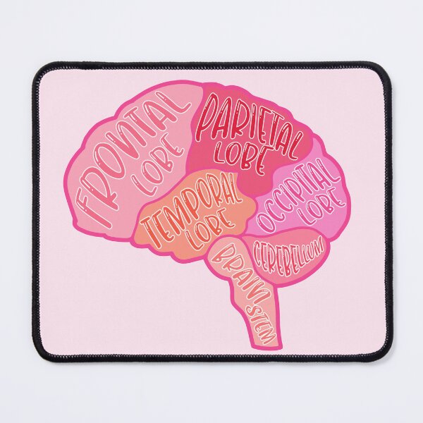 Item preview, Anatomical brain - pink colors designed and sold by mikasa.art.