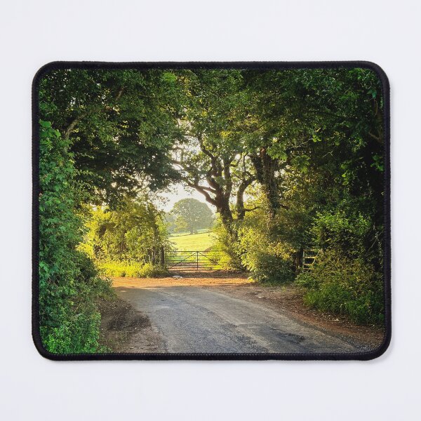 Item preview, Shipham Lane, Winscombe - Tree Tunnel designed and sold by Naturally Mindful.