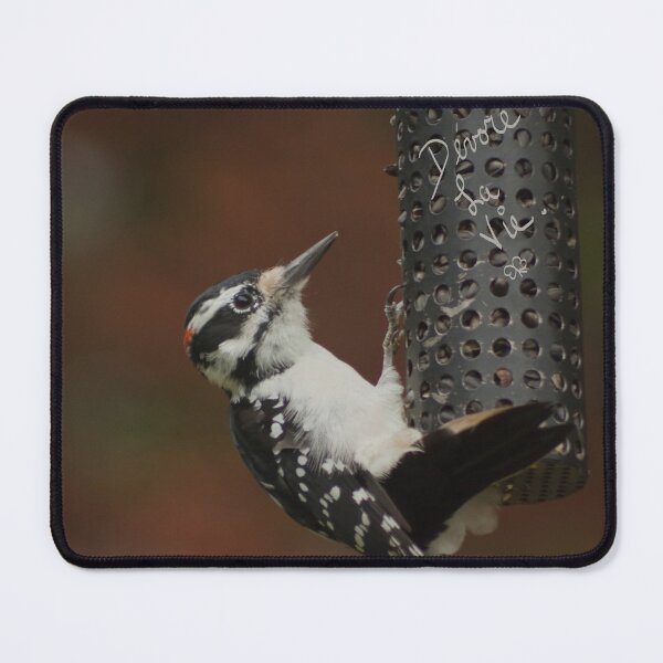 Item preview, Male Spotted Woodpecker at Feeders designed and sold by Production Art Manon Meilleur.