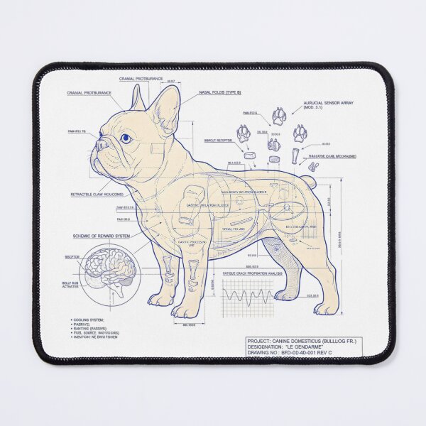 Item preview, French Bulldog Blueprint: Frenchie Technical Design Profile & Anatomy designed and sold by The Zoomie Collective.