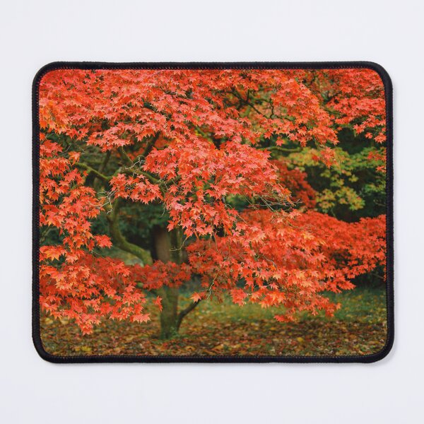 Item preview, Leaves of Fire designed and sold by David Bowman.