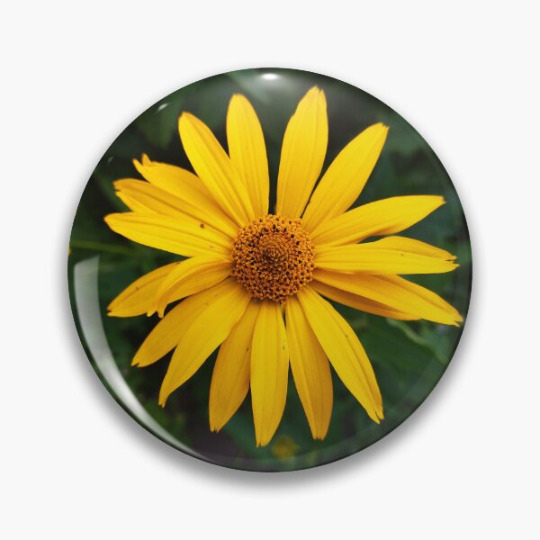 Item preview, False Sunflower Photo designed and sold by Sky-99.