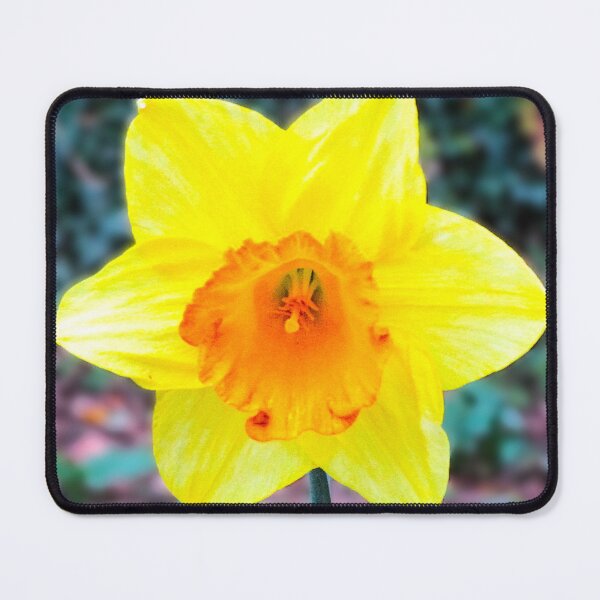 Item preview, Daffodil designed and sold by realdorypanda.