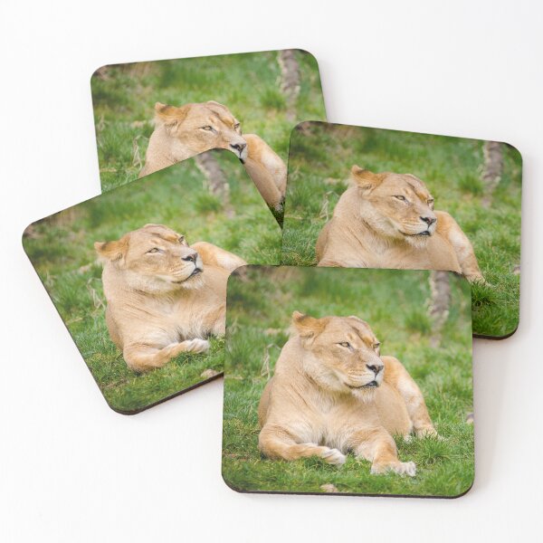Item preview, Lioness by Mathias Appel designed and sold by Igor Zeiger.