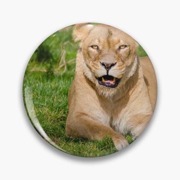 Item preview, Lioness by Mathias Appel designed and sold by Igor Zeiger.