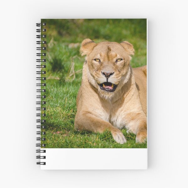 Item preview, Lioness by Mathias Appel designed and sold by Igor Zeiger.