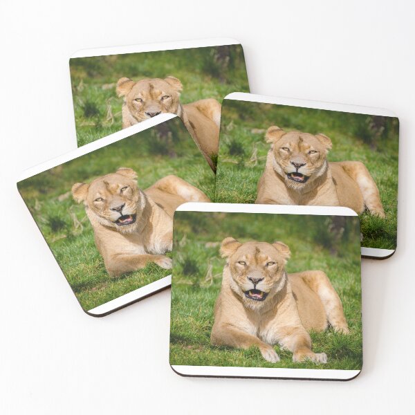 Item preview, Lioness by Mathias Appel designed and sold by Igor Zeiger.