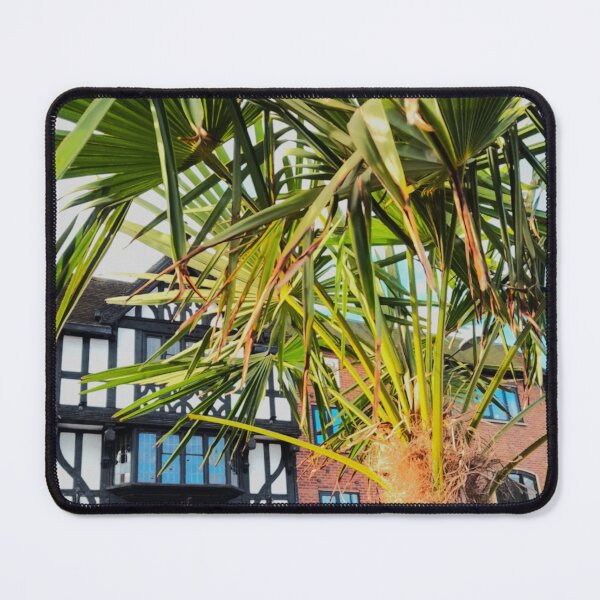 Item preview, Shrewsbury Building and Foliage designed and sold by realdorypanda.