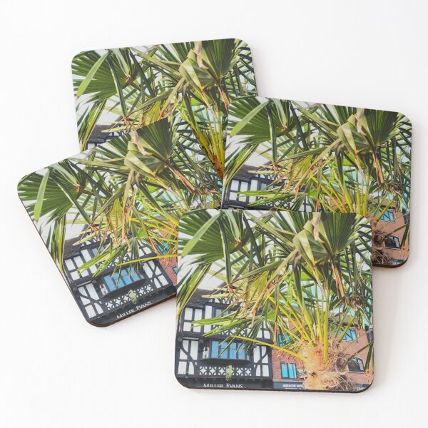 Item preview, Shrewsbury Building and Foliage designed and sold by realdorypanda.