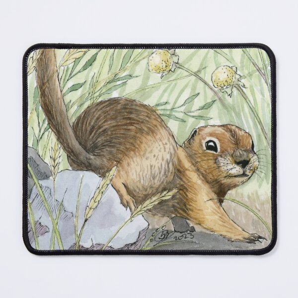 Item preview, Arctic Ground Squirrel designed and sold by Krystin Shields.