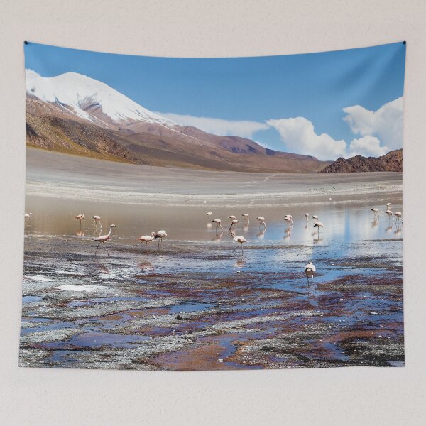 Item preview, Landscapes of Argentina, Catamarca designed and sold by maylizbeth.