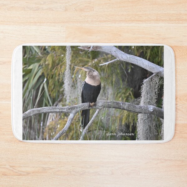 Item preview, Female Anhinga perched  designed and sold by Glennphotos.