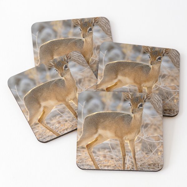 Item preview, Golden Whisper, Dik dik at Dusk, Etosha Namibia designed and sold by DavideAntoniani.