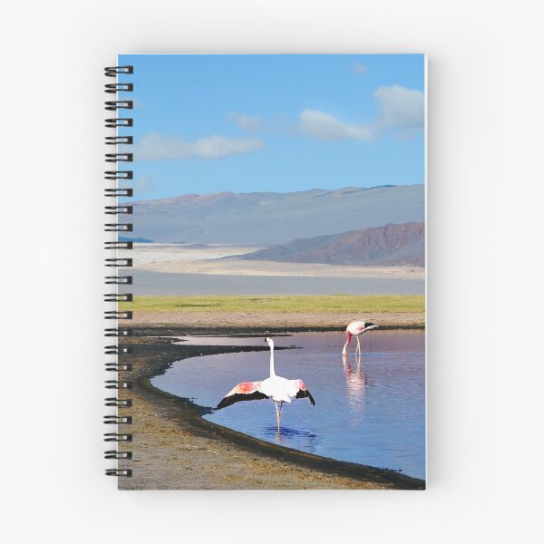 Item preview, Landscapes of Argentina, Catamarca designed and sold by maylizbeth.