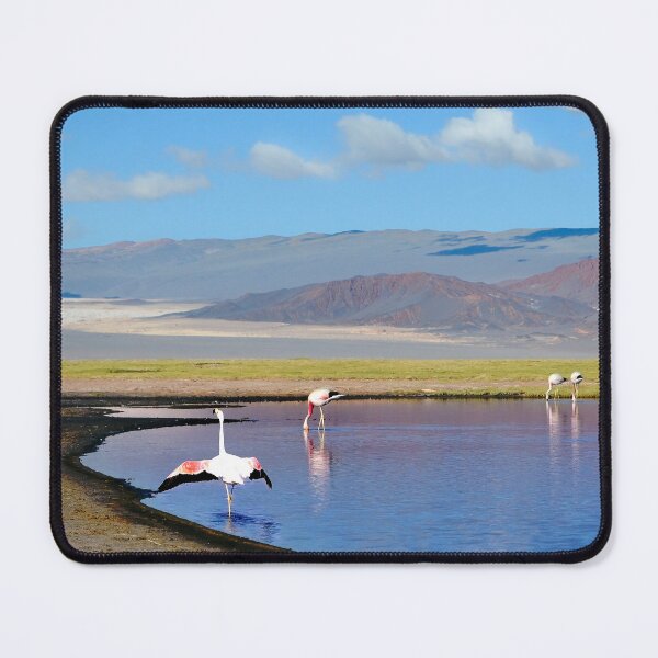 Item preview, Landscapes of Argentina, Catamarca designed and sold by maylizbeth.