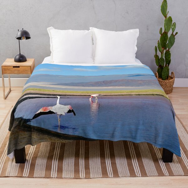 Item preview, Landscapes of Argentina, Catamarca designed and sold by maylizbeth.