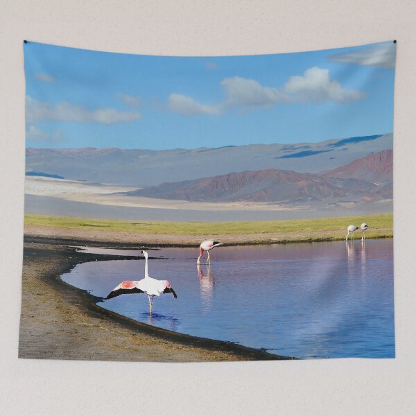 Item preview, Landscapes of Argentina, Catamarca designed and sold by maylizbeth.