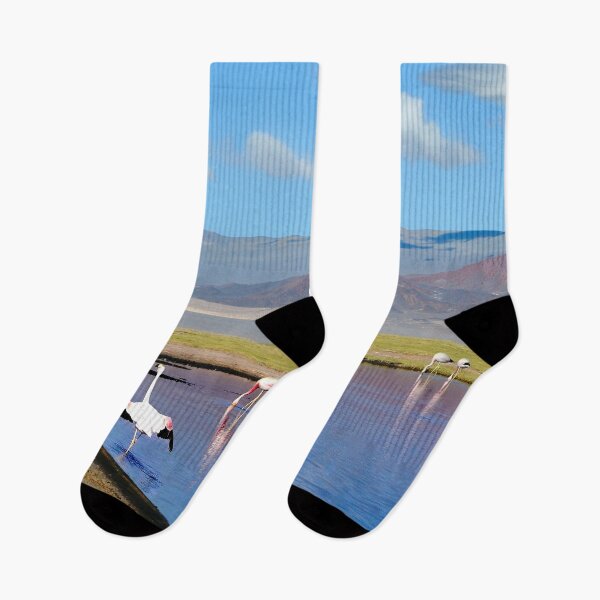 Item preview, Landscapes of Argentina, Catamarca designed and sold by maylizbeth.
