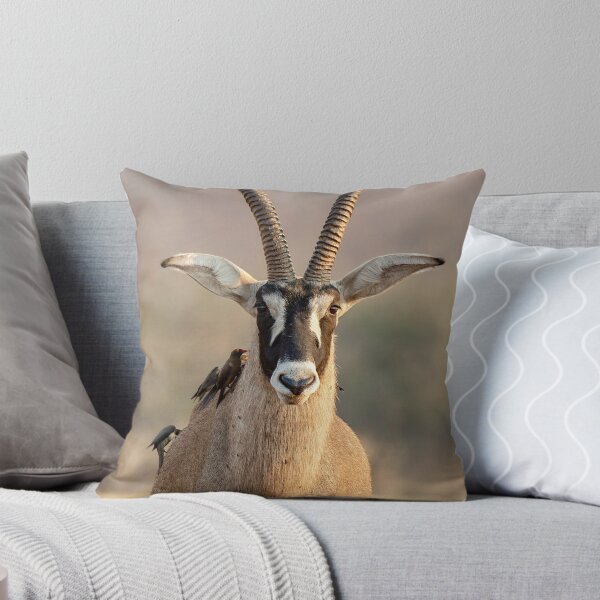 Item preview, Roan Antelope and Oxpeckers, Golden Light, Chobe designed and sold by DavideAntoniani.