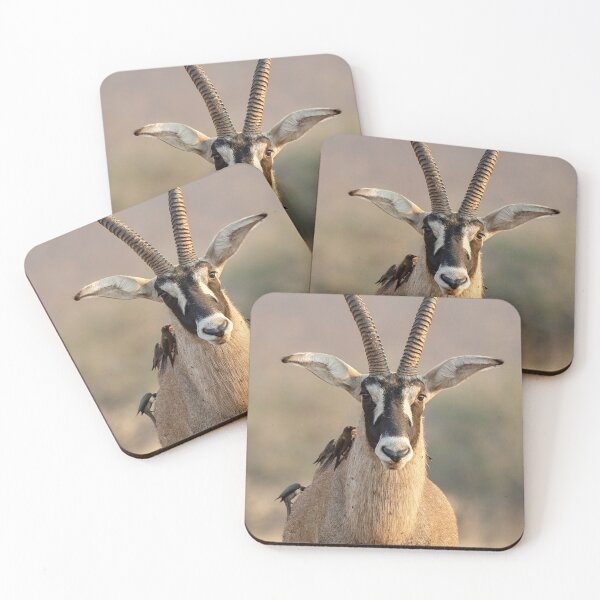 Item preview, Roan Antelope and Oxpeckers, Golden Light, Chobe designed and sold by DavideAntoniani.