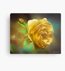 Rose Bud Metal Print