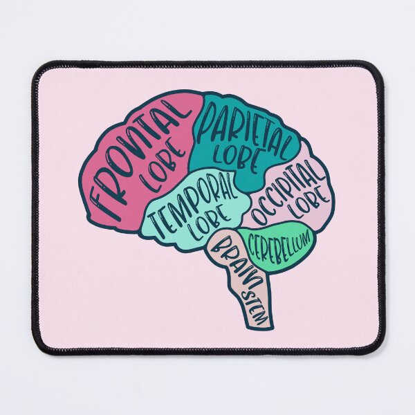 Item preview, Anatomical brain - pink colors designed and sold by mikasa.art.
