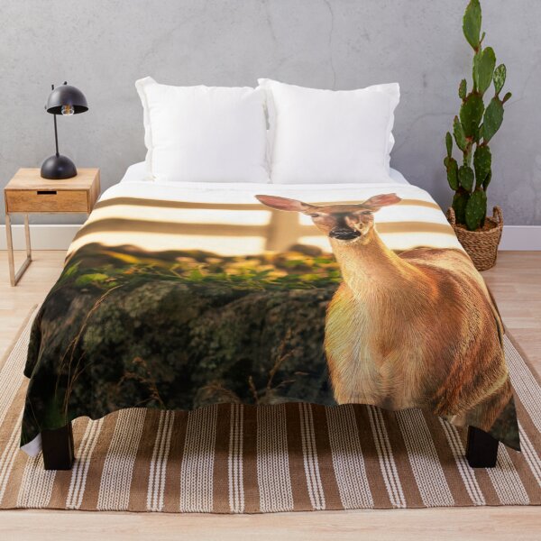 Item preview, A Friend In Morning Light designed and sold by Jim Love.