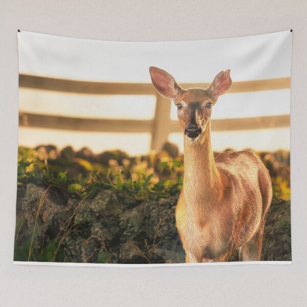 Item preview, A Friend In Morning Light designed and sold by Jim Love.