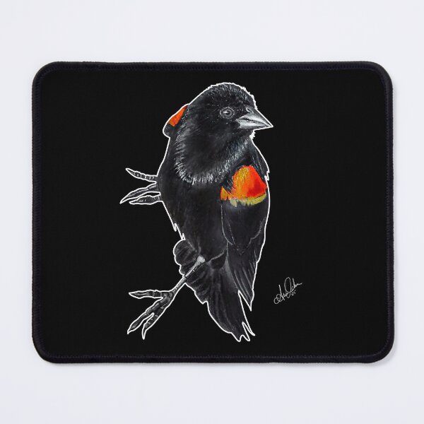 Item preview, Red Winged Black Bird (Isolated) designed and sold by Sirenia Designs.