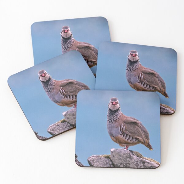 Item preview, Male red-legged partridge Portrait designed and sold by Tom McPherson Photography.