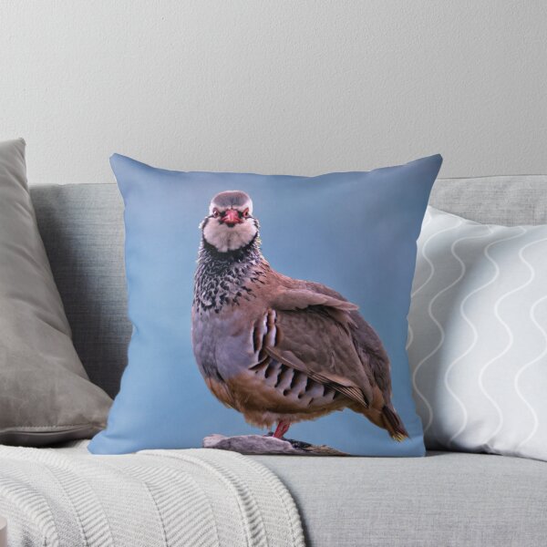 Item preview, Male red-legged partridge Portrait designed and sold by Tom McPherson Photography.