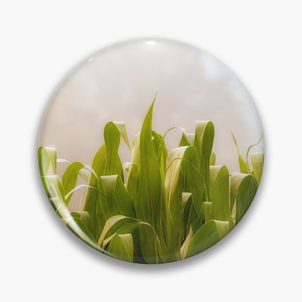 Item preview, Cornfield Mist designed and sold by Jim Love.