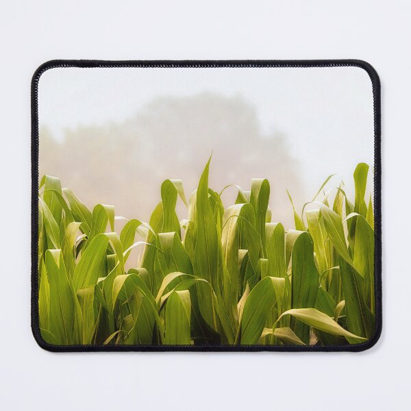 Item preview, Cornfield Mist designed and sold by Jim Love.