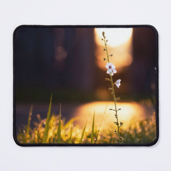 Item preview, Remnant Wildflowers designed and sold by Jim Love.