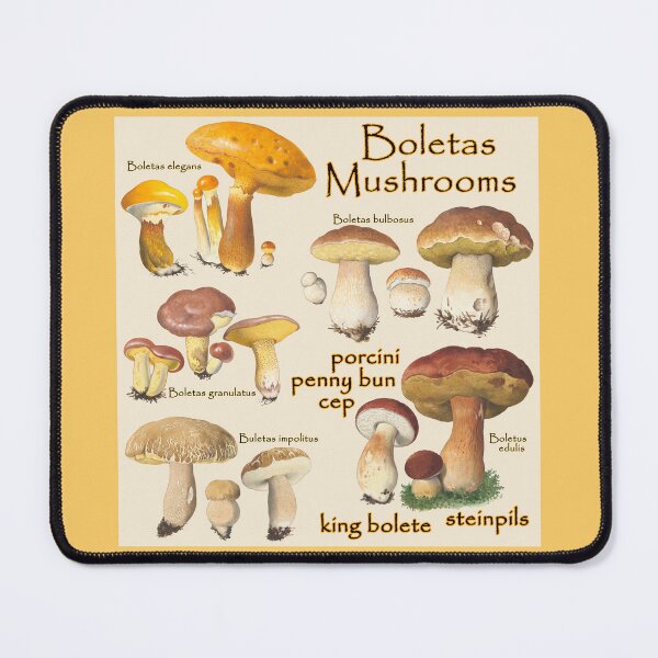 Item preview, Boletus Mushrooms designed and sold by Tridentulus.