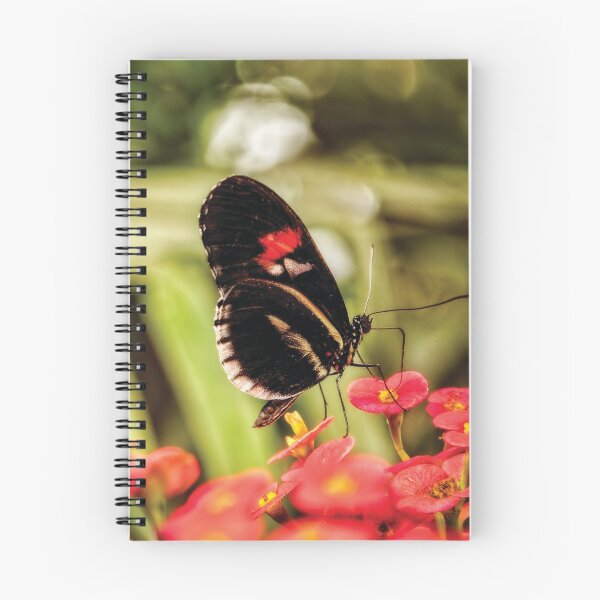 Item preview, The Fascinating Doris Longwing Butterfly designed and sold by Kay Brewer.
