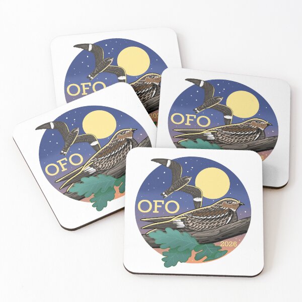 Item preview, OFO Bird of the Year 2026 - Common Nighthawk designed and sold by OFOmerch.