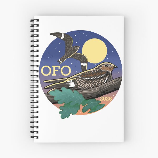 Item preview, OFO Bird of the Year 2026 - Common Nighthawk designed and sold by OFOmerch.