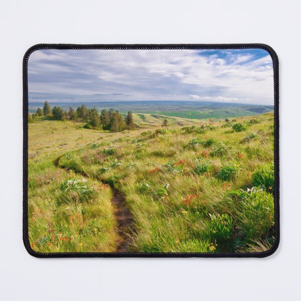 Item preview, Path Through Paradise, Moscow, Idaho designed and sold by Alison Meyer Photography.