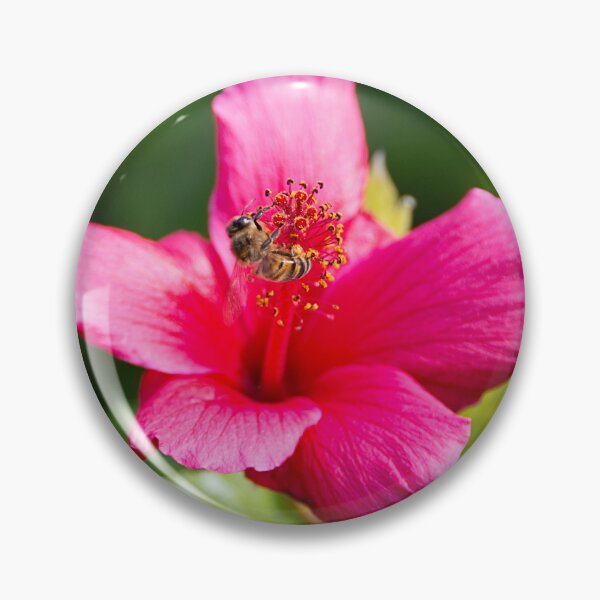 Artikelvorschau, Pink Temptation entworfen und verkauft von WrightDesignsUS.