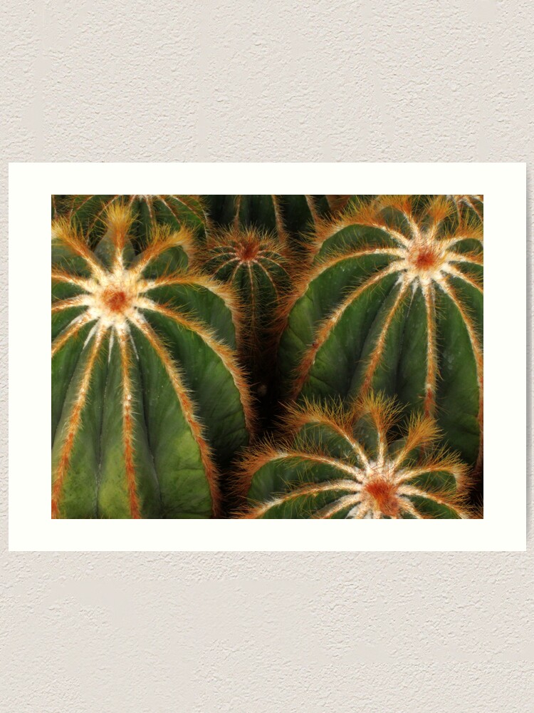 Alternate view of Cacti Art Print