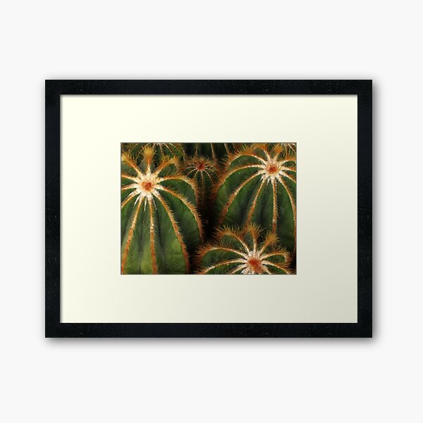Cacti Framed Art Print