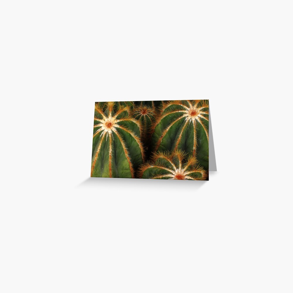 Cacti Greeting Card
