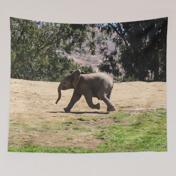 Item preview, Running To His Mama designed and sold by heatherfriedman.
