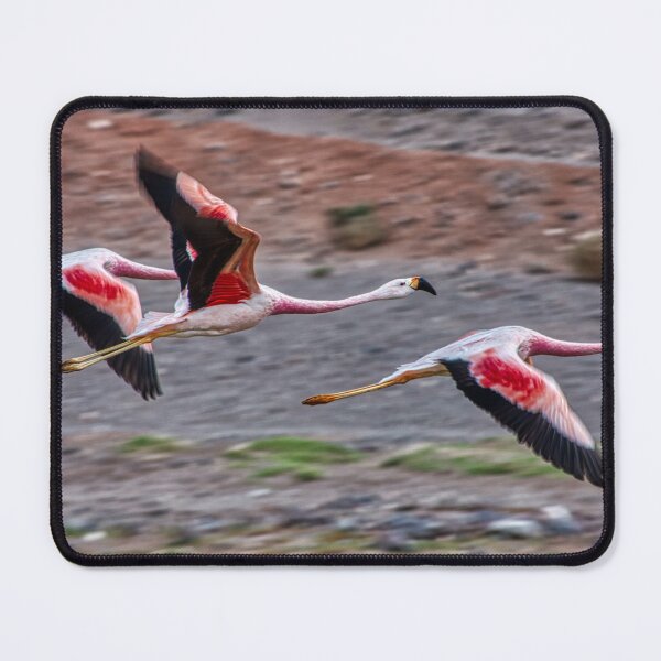 Item preview, Pink Flamingo designed and sold by Keltoi-art.