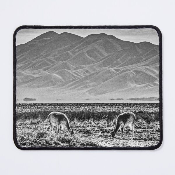 Item preview, Vicuñas, black and white photo designed and sold by Keltoi-art.