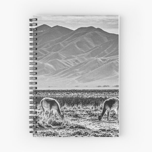 Item preview, Vicuñas, black and white photo designed and sold by Keltoi-art.