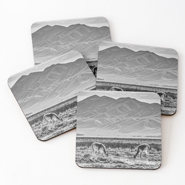 Item preview, Vicuñas, black and white photo designed and sold by Keltoi-art.
