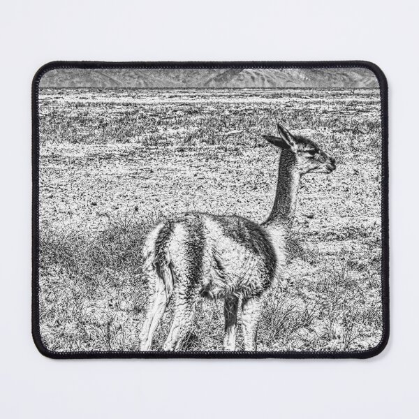 Item preview, Vicuna in the Argentine highlands designed and sold by Keltoi-art.